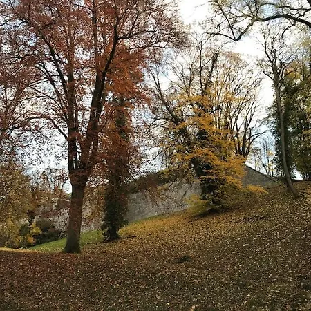 8 Pers 10' A Pied Du Centre:le Savoie Namur