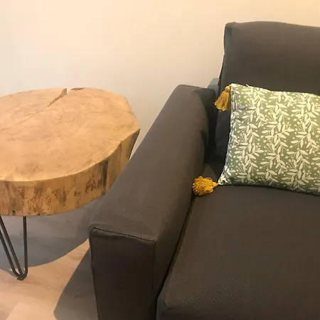 8 Pers 10' A Pied Du Centre:le Savoie *