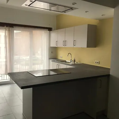 8 Pers 10' A Pied Du Centre:le Savoie