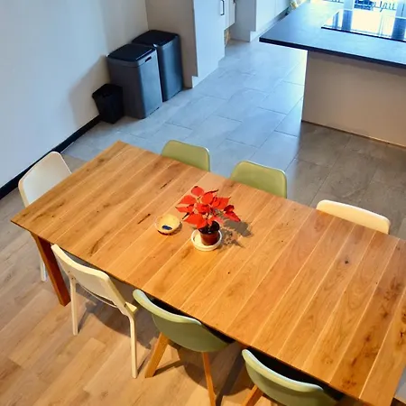 8 Pers 10' A Pied Du Centre:le Savoie