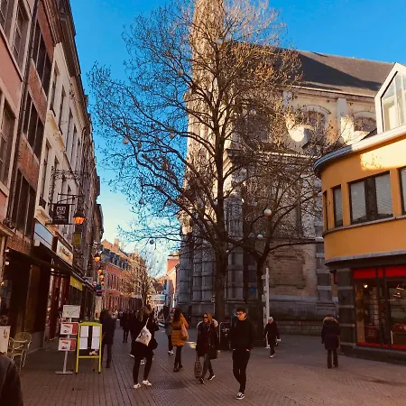 8 Pers 10' à Pied Du Centre:le Savoie Namur