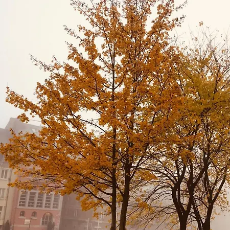 Apartment 8 Pers 10' A Pied Du Centre:le Savoie